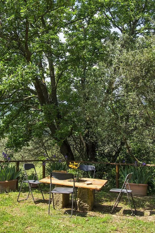 Holiday Home Casolare Ser Chelino By Interhome Volterra